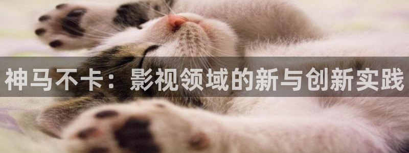 樱桃电影免费观看