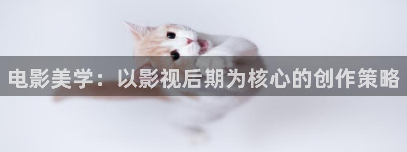 樱桃视频免费下载